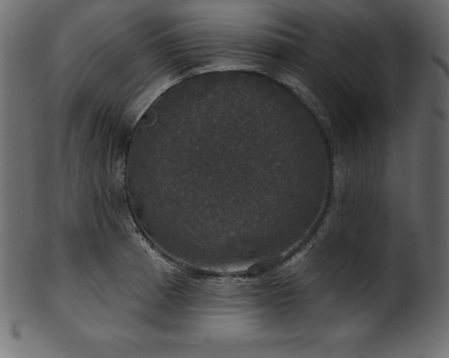 X0000102041185200807181505