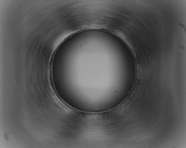 X0000102041187200807181505