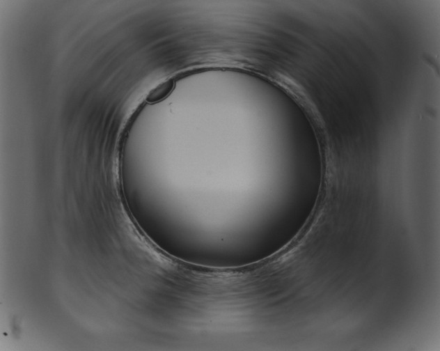 X0000102041188200807181505