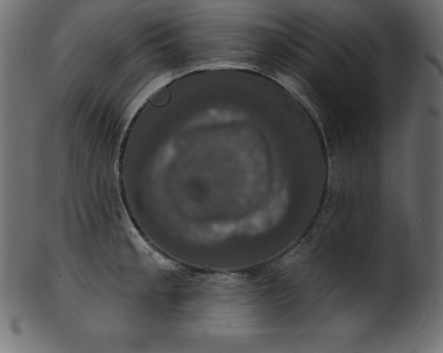 X0000102041189200807181505