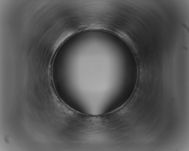 X0000102041190200807181505