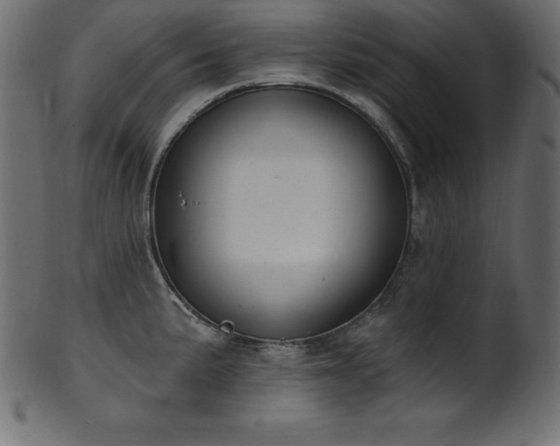 X0000102041191200807181505