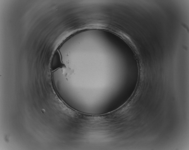 X0000102041192200807181505