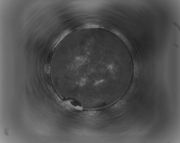 X0000102041193200807181505