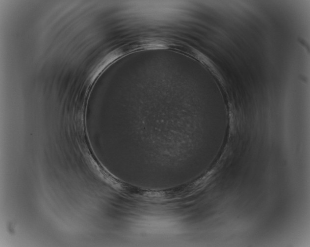 X0000102041194200807181505