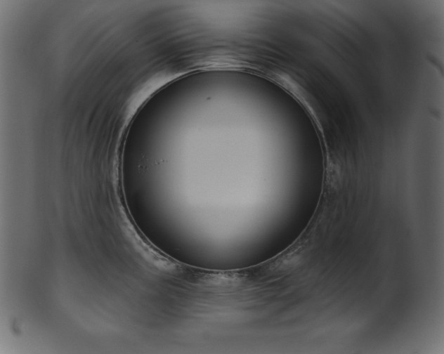 X0000102041195200807181505