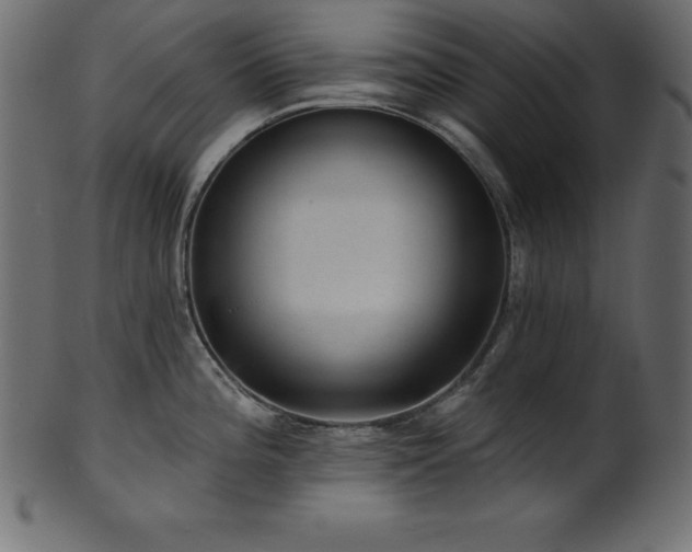 X0000102041196200807181505