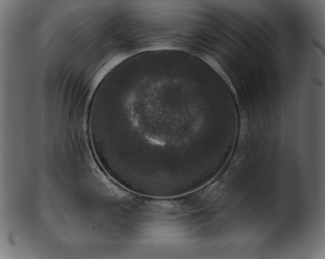 X0000102041197200807181505