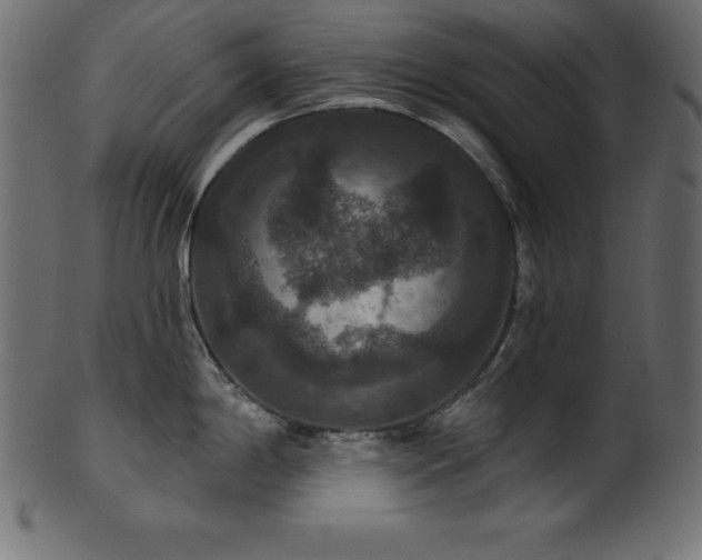 X0000102041198200807181505