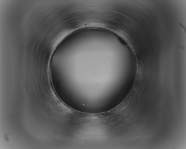 X0000102041199200807181505