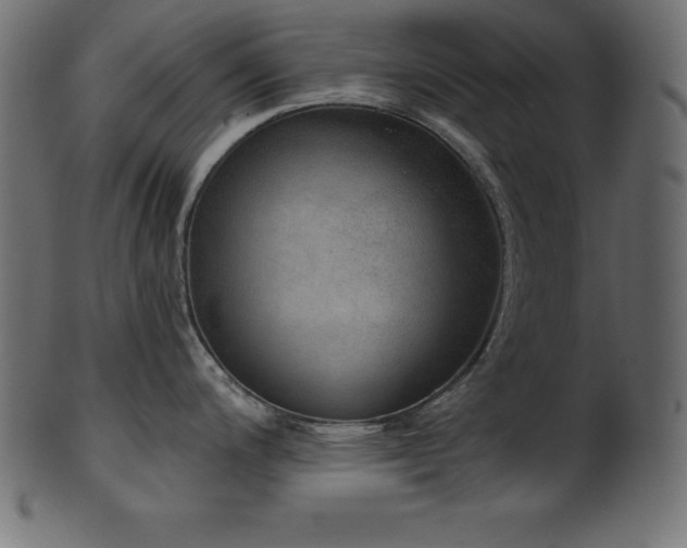 X0000102041200200807181505