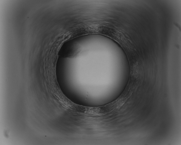 X0000102041201200807181505