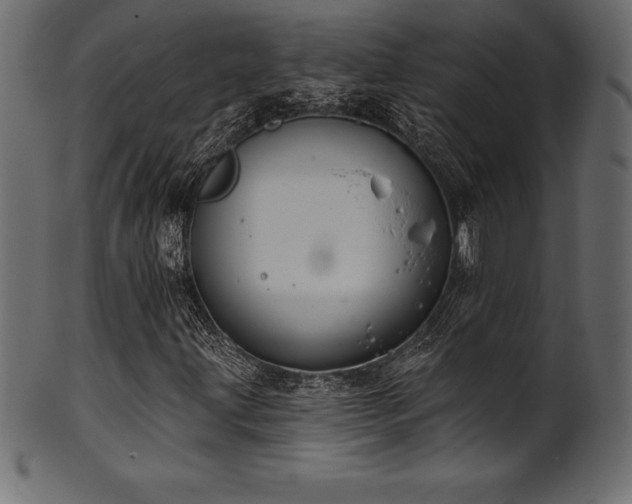 X0000102041203200807181505