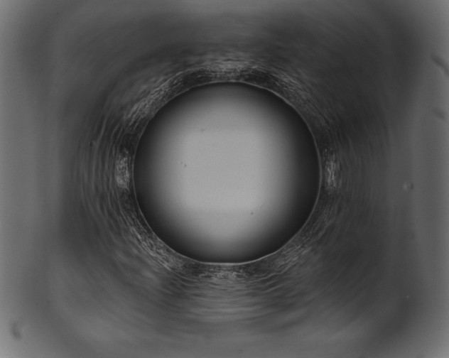 X0000102041204200807181505