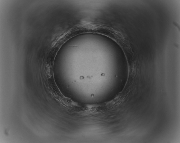 X0000102041205200807181505