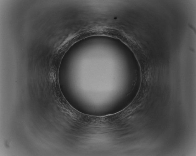 X0000102041206200807181505
