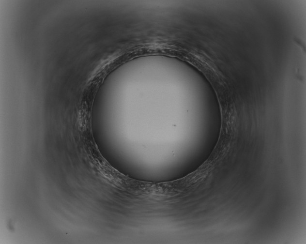X0000102041207200807181505
