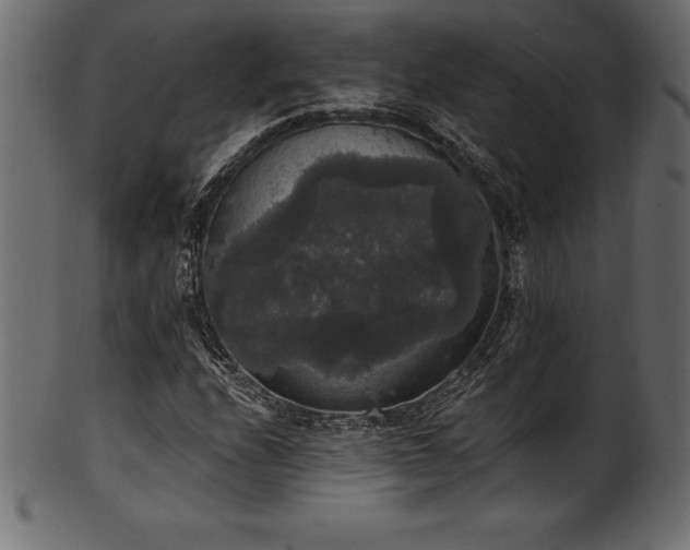 X0000102041208200807181505