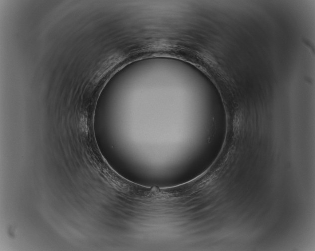 X0000102041209200807181505