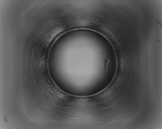 X0000102041210200807181505