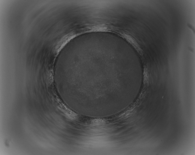 X0000102041212200807181505