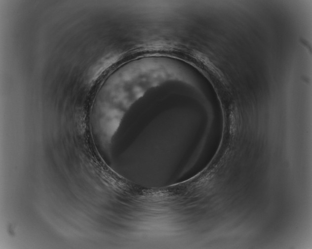 X0000102041213200807181505