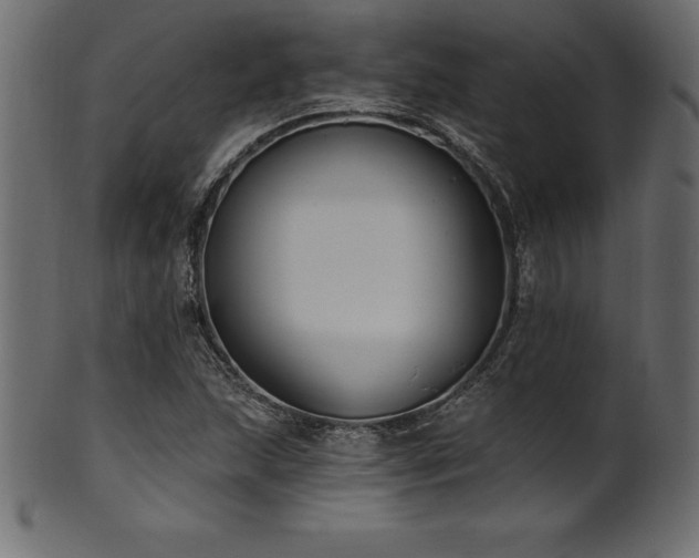 X0000102041215200807181505