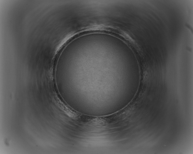 X0000102041216200807181505