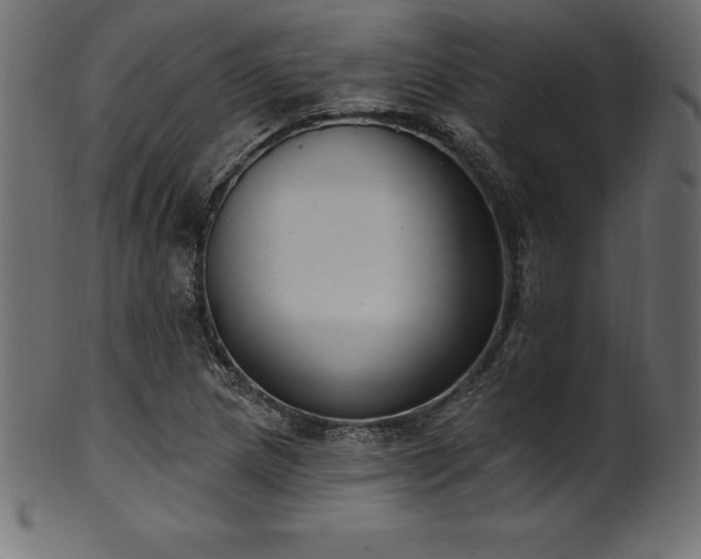 X0000102041217200807181505