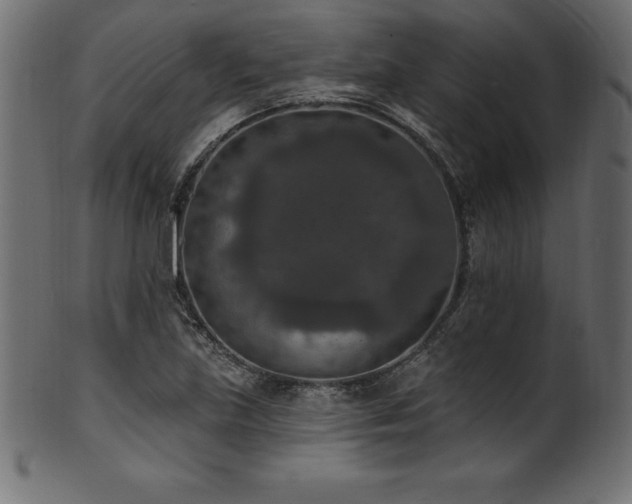 X0000102041219200807181505