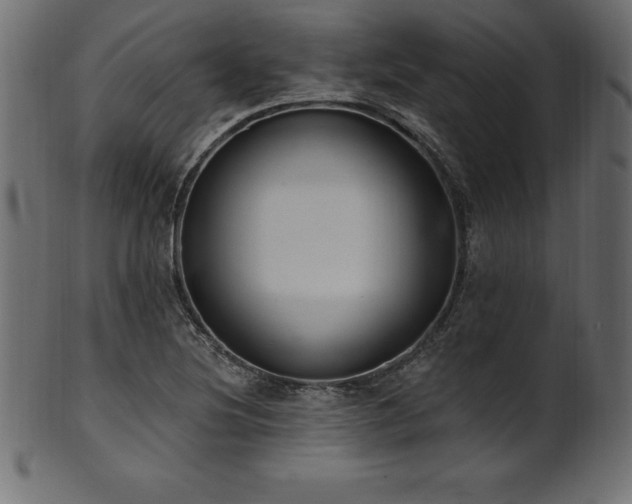 X0000102041220200807181505