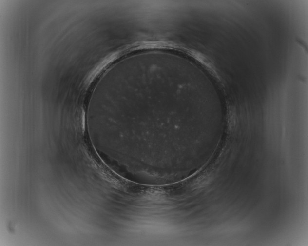 X0000102041221200807181505