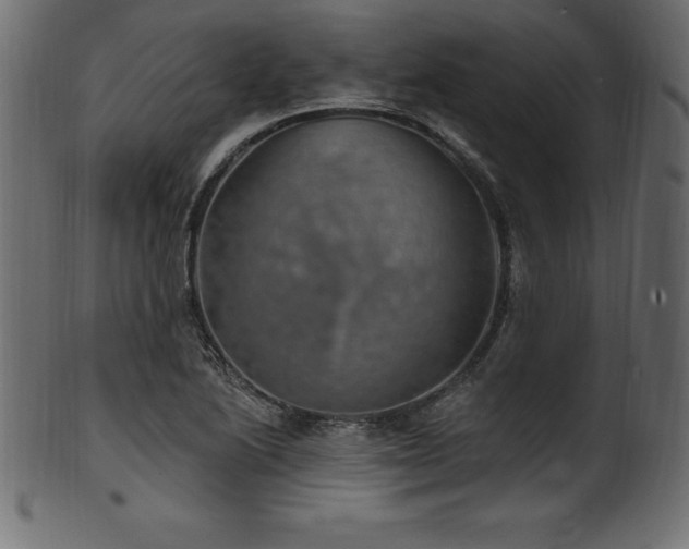 X0000102041222200807181505