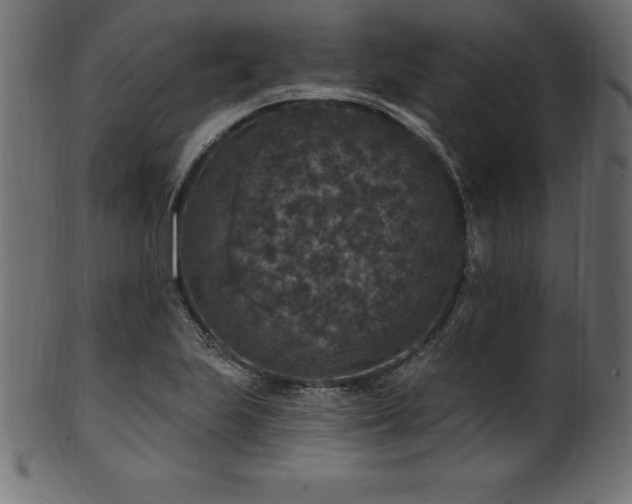 X0000102041223200807181505