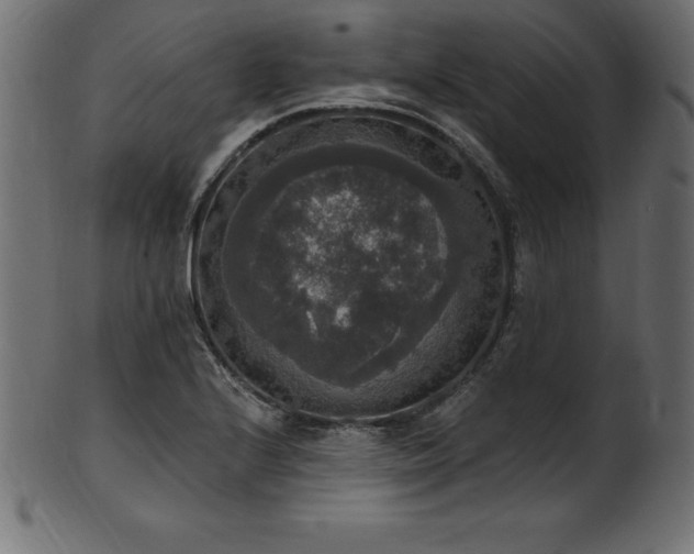 X0000102041224200807181505