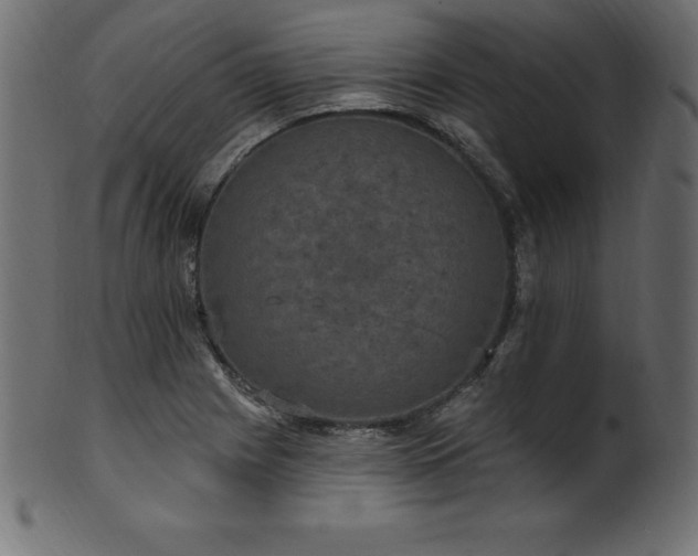X0000102041225200807181505