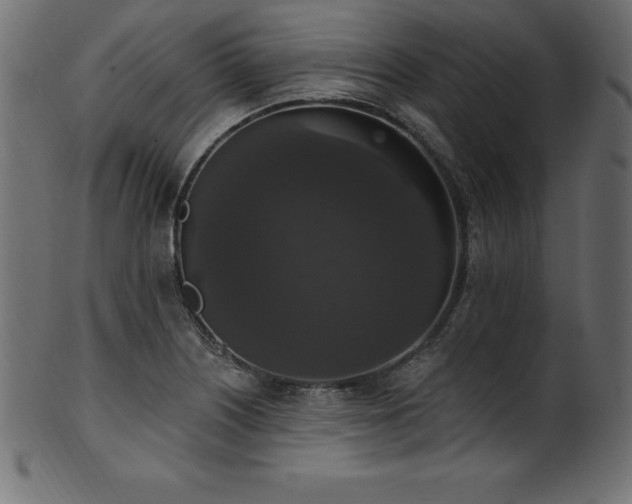 X0000102041226200807181505