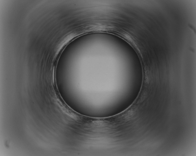 X0000102041227200807181505