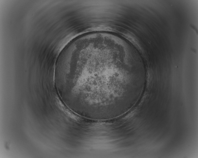 X0000102041228200807181505