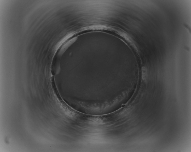X0000102041229200807181505