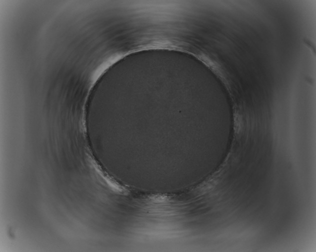 X0000102041230200807181505