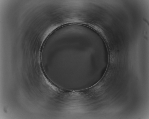 X0000102041231200807181505