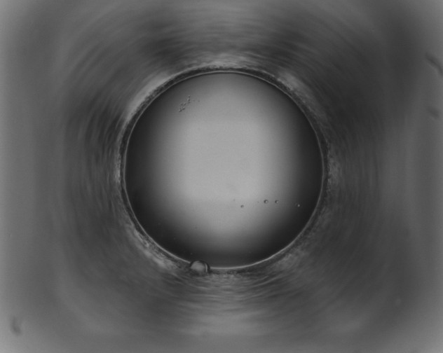 X0000102041232200807181505