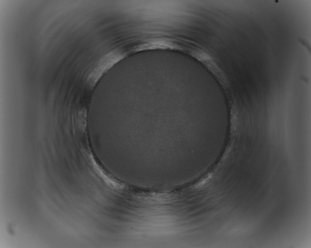 X0000102041233200807181505