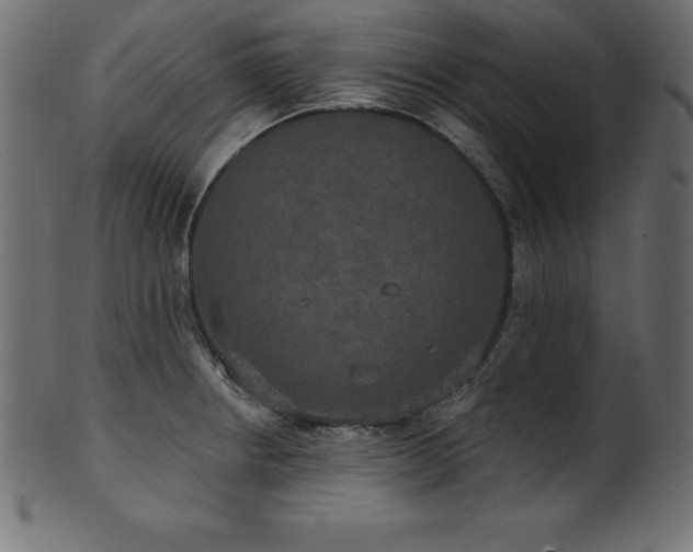 X0000102041234200807181505