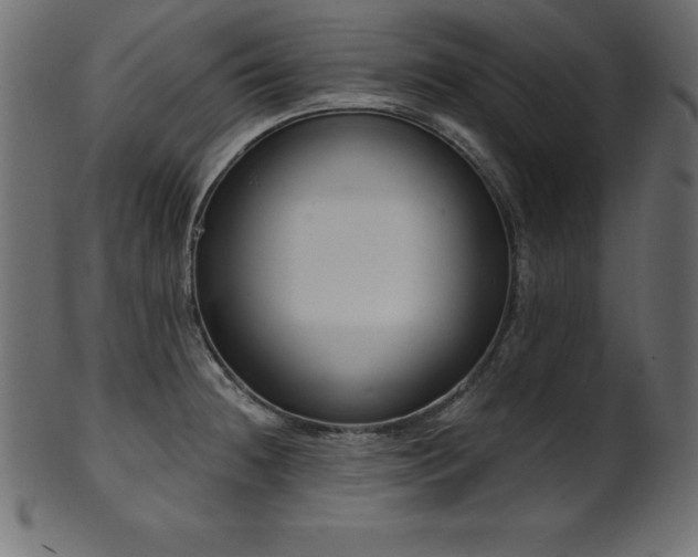 X0000102041236200807181505
