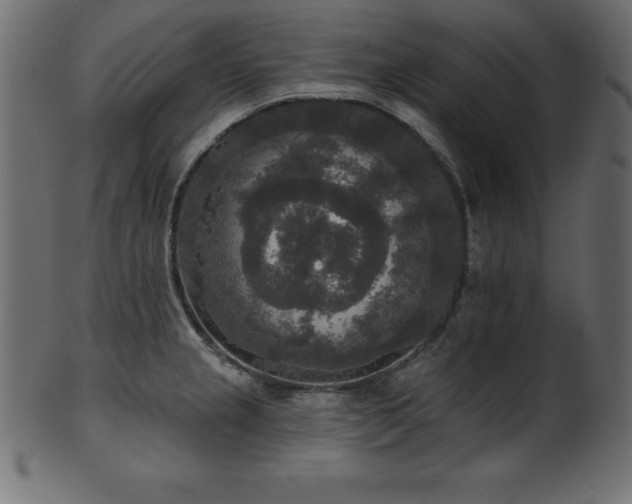 X0000102041237200807181505