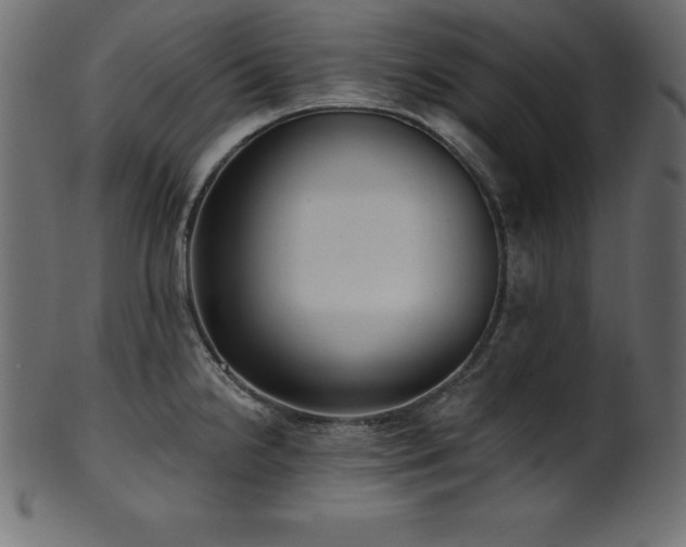 X0000102041238200807181505