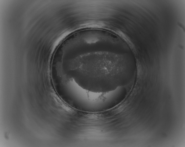 X0000102041240200807181505
