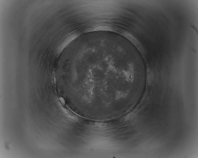X0000102041241200807181505
